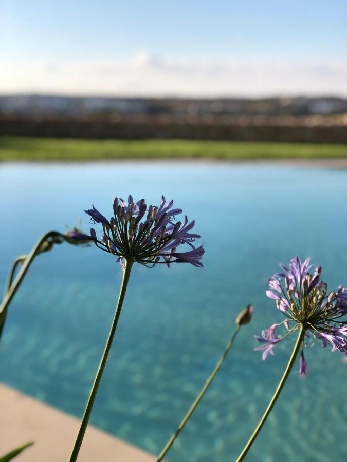 Sunset Oasis Villa L-Imgarr ภายนอก รูปภาพ